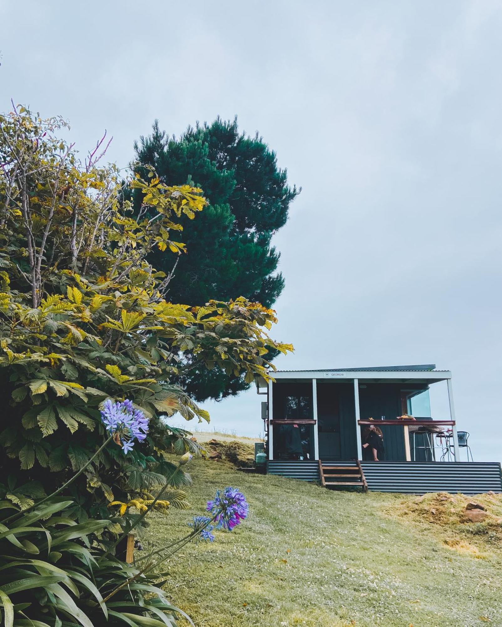 Hotel Tilba Lake House à Mystery Bay Extérieur photo